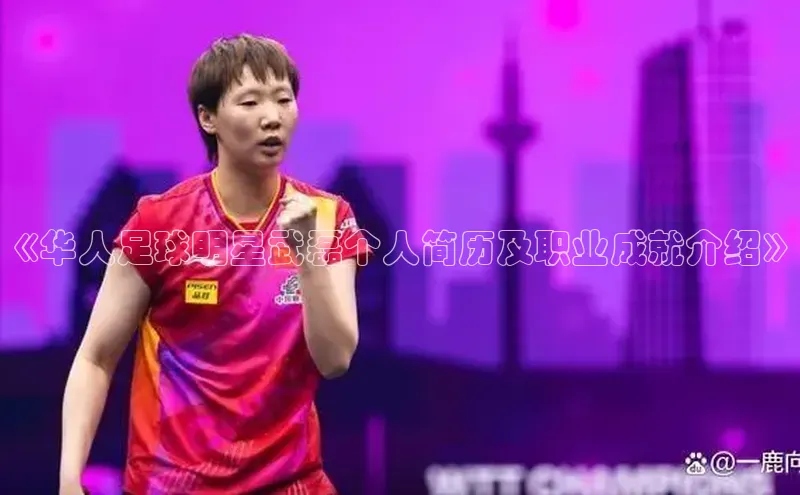 天富平台官方网站登录入口荣信文化《华人足球明星武磊个人简历及职业成就介绍》