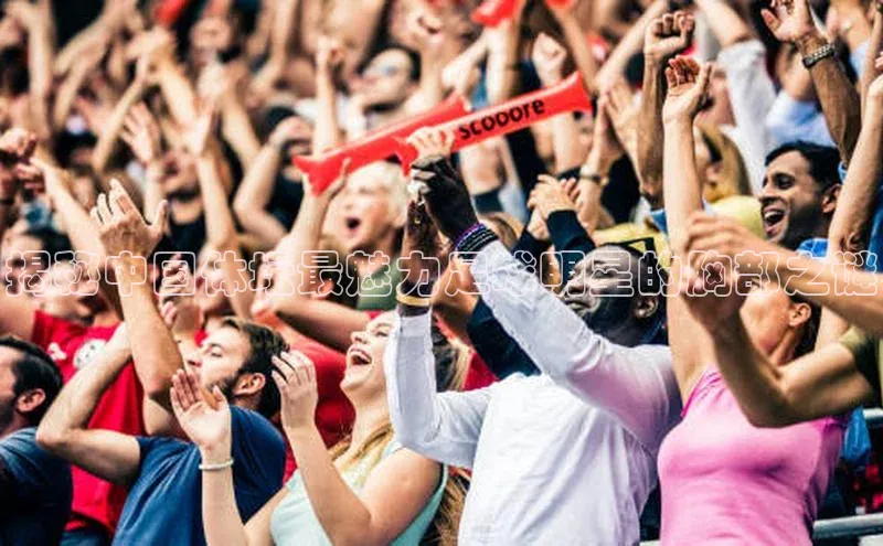 天富登录入口网站百度 H5揭秘中国体坛最魅力足球明星的胸部之谜