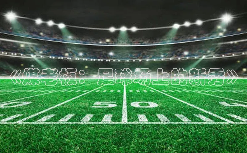 天富注册连接路畅科技《煤老板：足球场上的新秀》