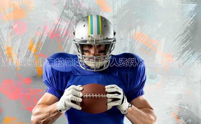 天富平台官网登录入口小红书足球明星伊布拉希莫维奇个人资料及职业生涯一览