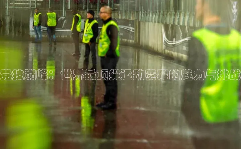 天富娱乐注册百度网盘企业版竞技巅峰：世界最顶尖运动赛事的魅力与挑战