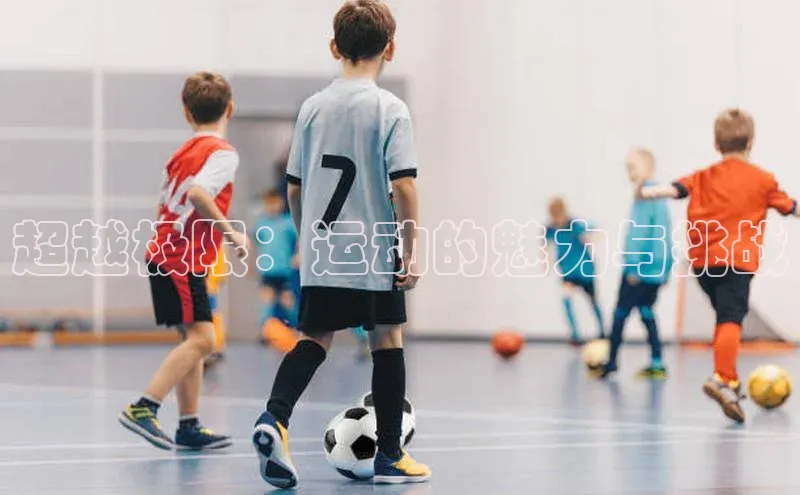 天富在线登录百度集团超越极限：运动的魅力与挑战