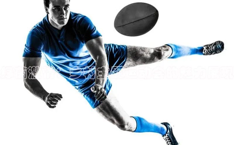 天富平台官网注册链接蓝色光标绿茵激情：乡村主题运动会的魅力展现