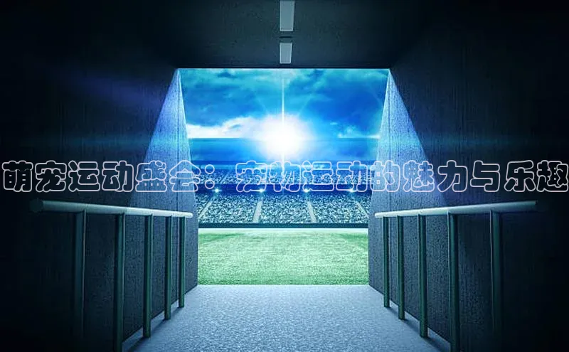 萌宠运动盛会：宠物运动的魅力与乐趣