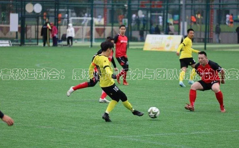 春秋运动会：展现青春活力与团队精神的盛宴