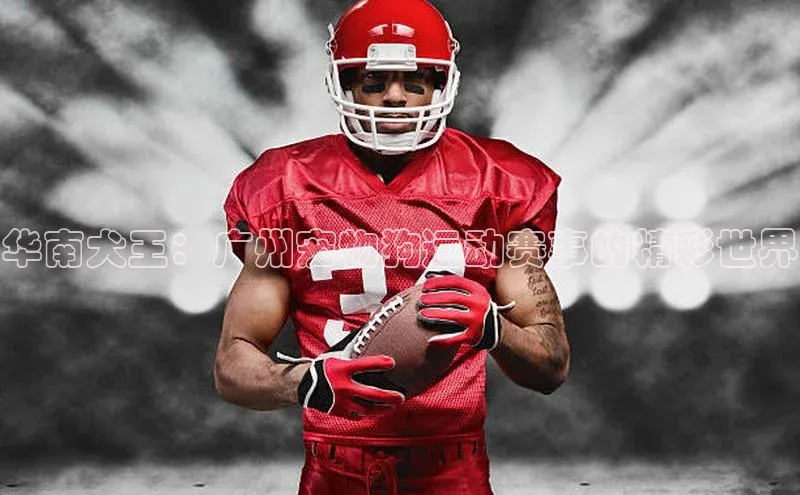 华南犬王：广州宠物狗运动赛事的精彩世界