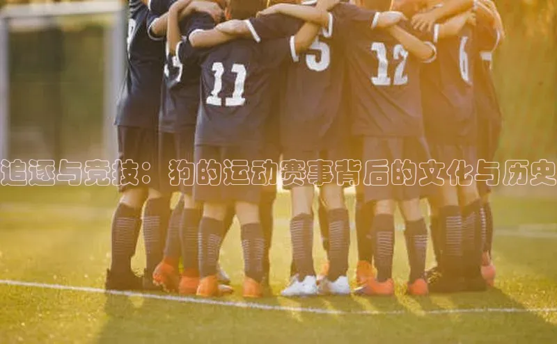 追逐与竞技：狗的运动赛事背后的文化与历史