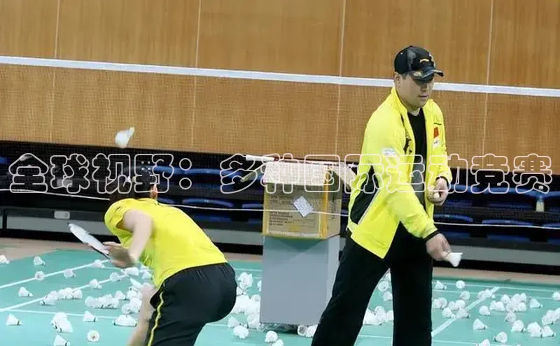 全球视野：多种国际运动竞赛