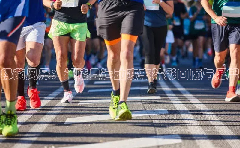 绿茵风暴：兰陵县运动赛事精彩回顾与展望