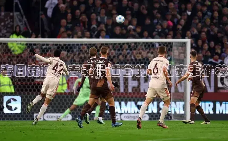 春日竞速：春季最适合的运动赛事推荐