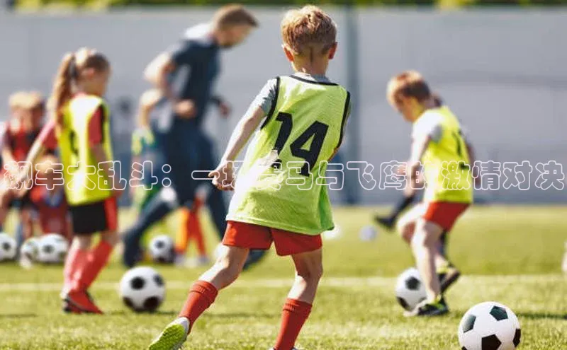 飙车大乱斗：一场赛马与飞鹰的激情对决