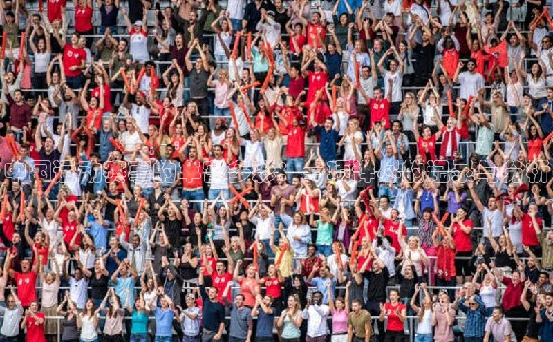 中国运动赛事的丰富多彩：一项详尽的记录与分析