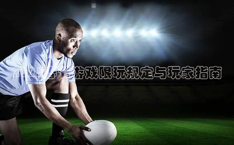 2025春节游戏限玩规定与玩家指南