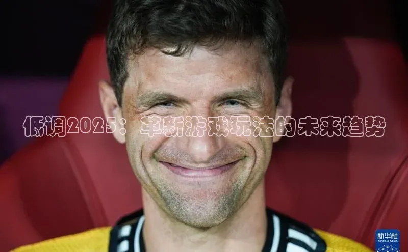 低调2025：革新游戏玩法的未来趋势