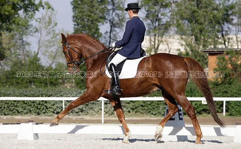 2025年的电子竞技未来：《FC新游戏2025》虚拟世界的新边界