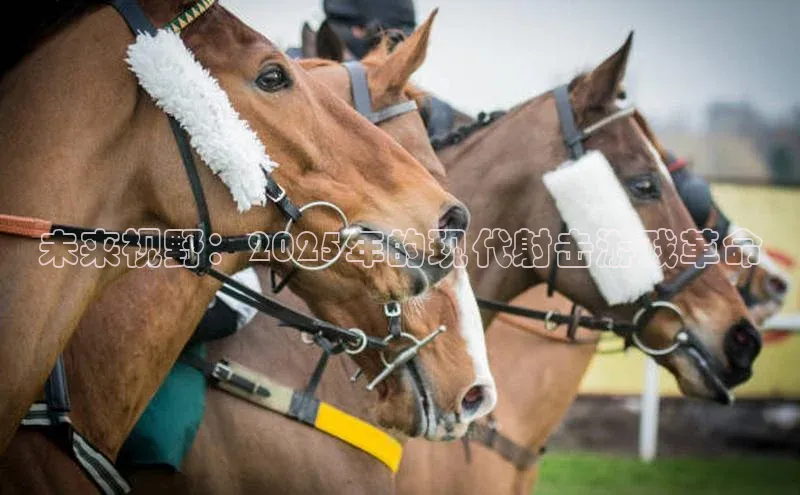 未来视野：2025年的现代射击游戏革命