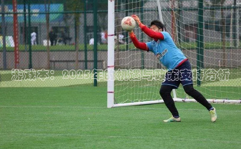 游戏本：2025年的机遇与政策支持分析